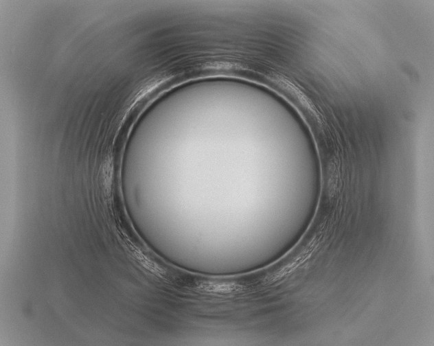 X0000116260831200912141306