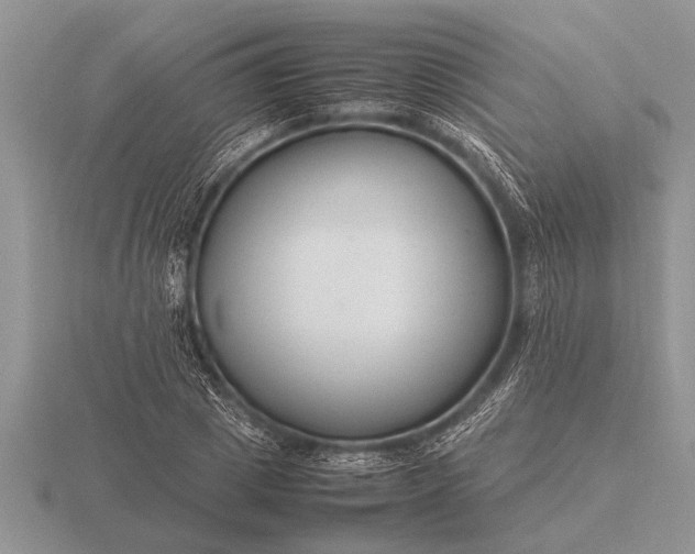 X0000116260833200912141306