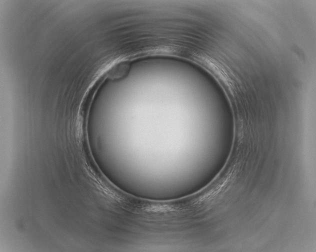 X0000116260835200912141306
