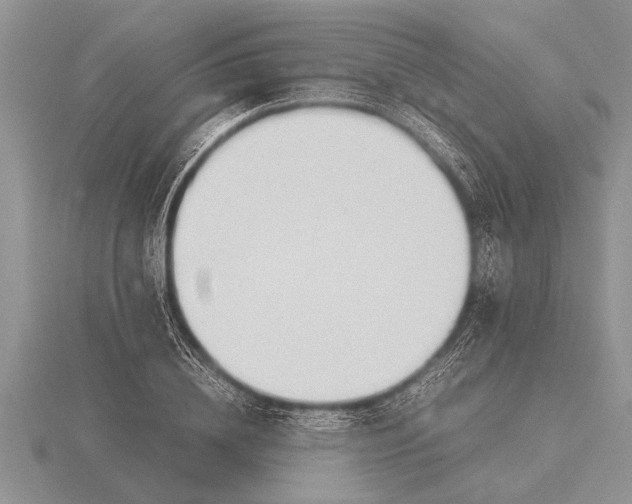X0000116260836200912141306