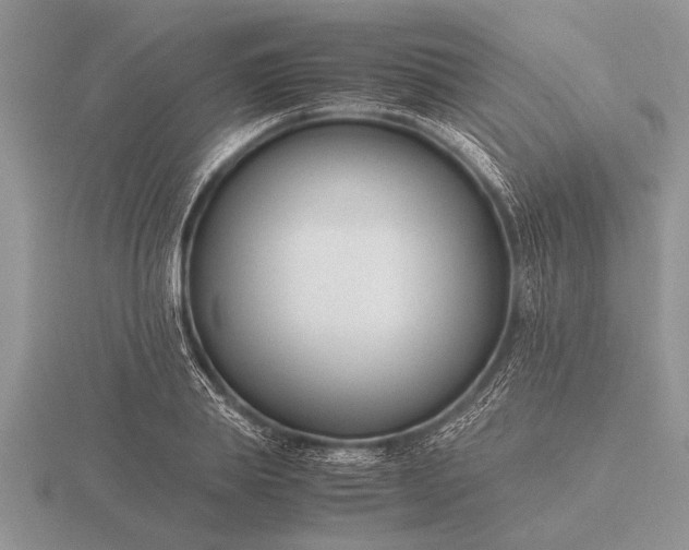 X0000116260839200912141306