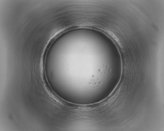 X0000116260840200912141306
