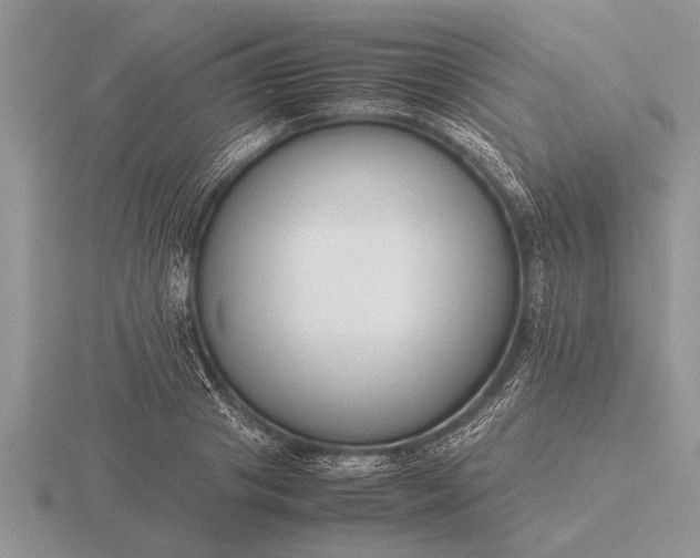 X0000116260841200912141306