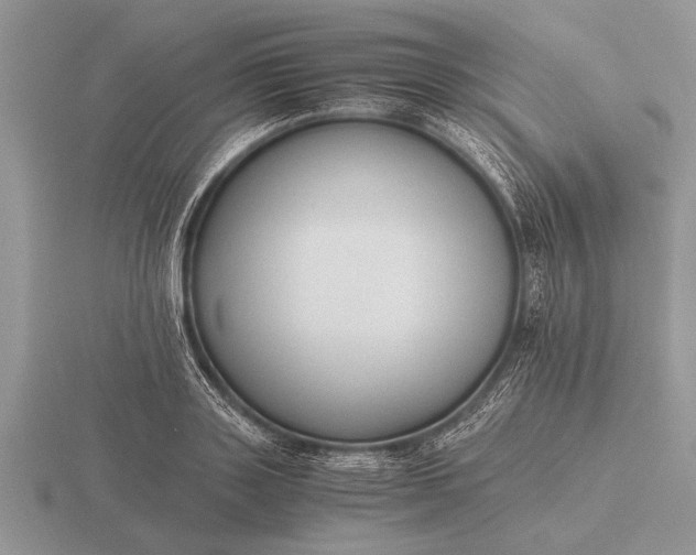 X0000116260843200912141306