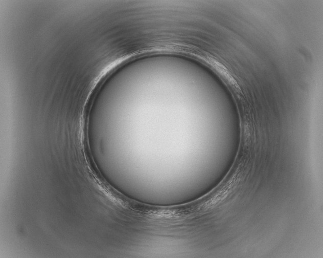 X0000116260846200912141306