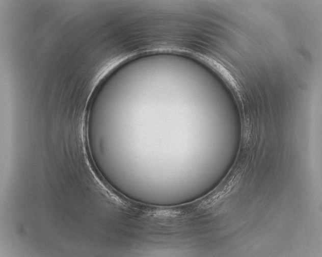 X0000116260847200912141306