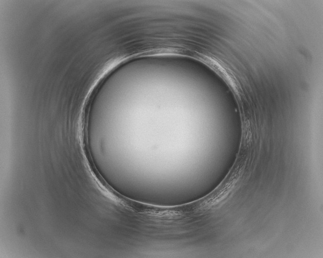 X0000116260851200912141306
