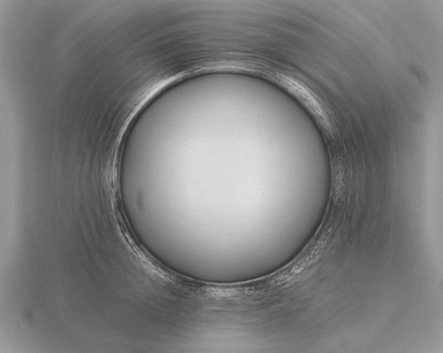X0000116260852200912141306