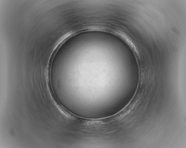 X0000116260853200912141306