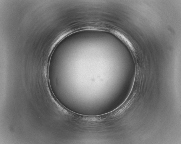 X0000116260855200912141306
