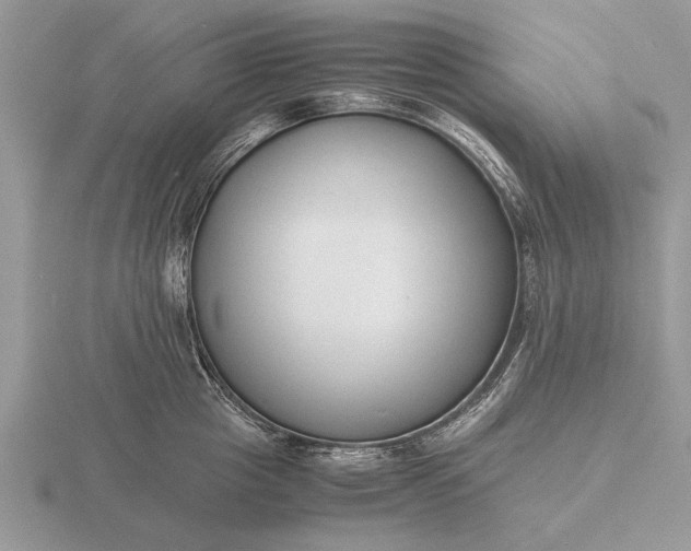 X0000116260857200912141306