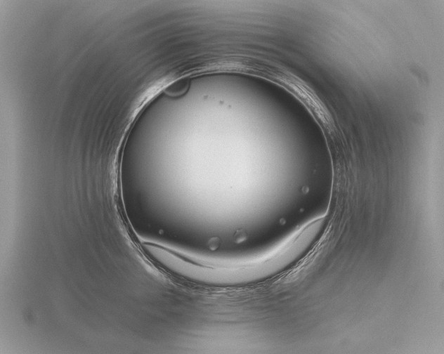 X0000116260858200912141306