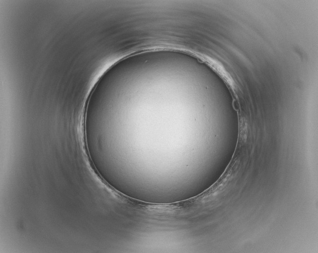 X0000116260863200912141306