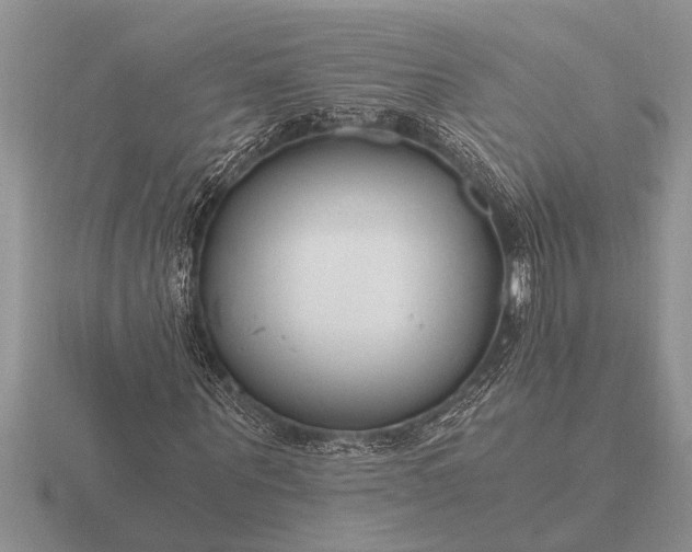 X0000116260867200912141305