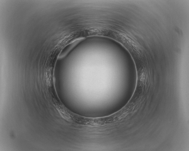 X0000116260868200912141305
