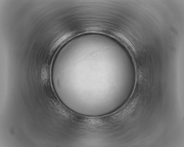 X0000116260874200912141305