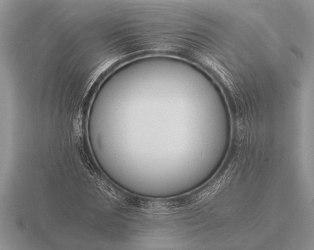 X0000116260875200912141305