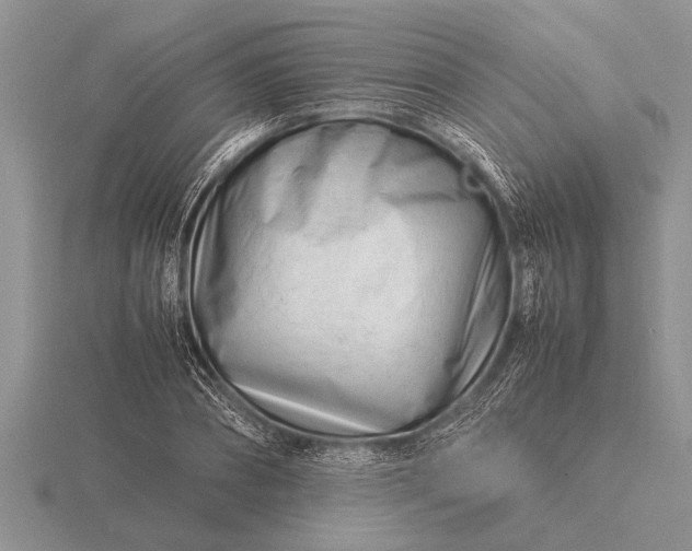 X0000116260882200912141305