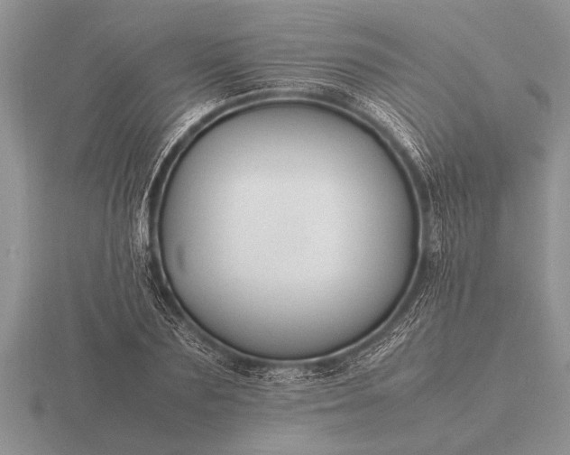 X0000116260883200912141305