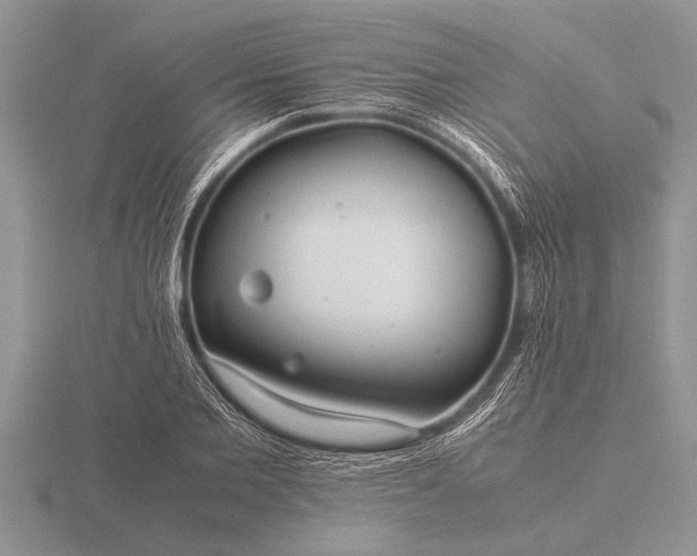 X0000116260885200912141305