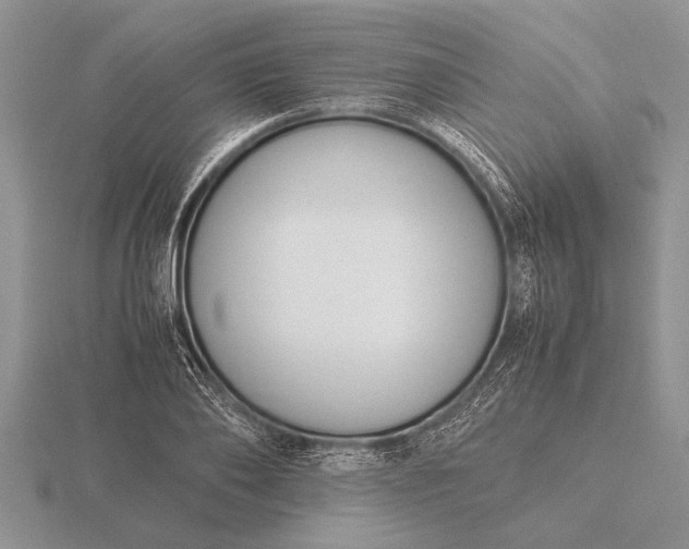 X0000116260886200912141305