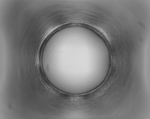 X0000116260887200912141305