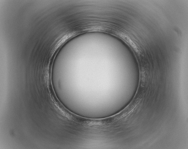 X0000116260890200912141305