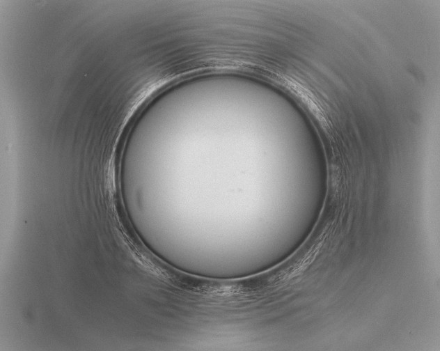 X0000116260891200912141305