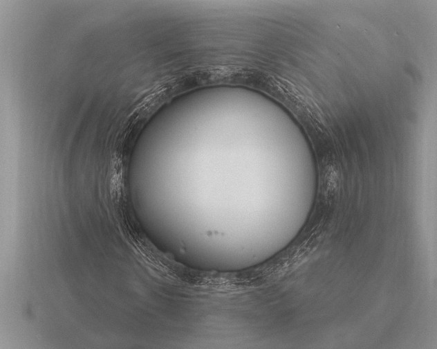 X0000116260914200912141304