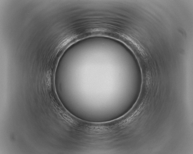 X0000116260921200912141304