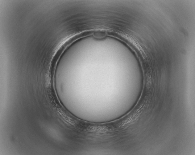 X0000116260927200912141304