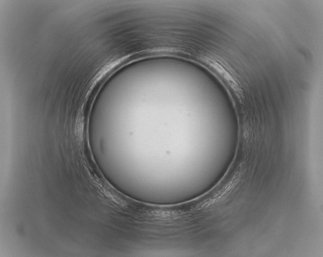X0000116260933200912141305