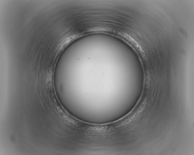 X0000116260937200912141305