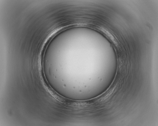 X0000116260939200912141305
