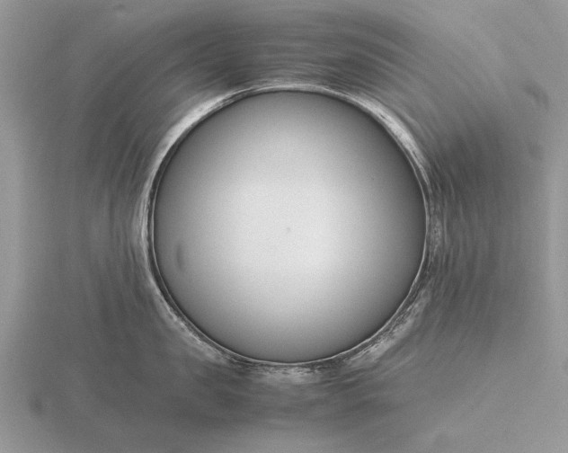 X0000116260957200912141305