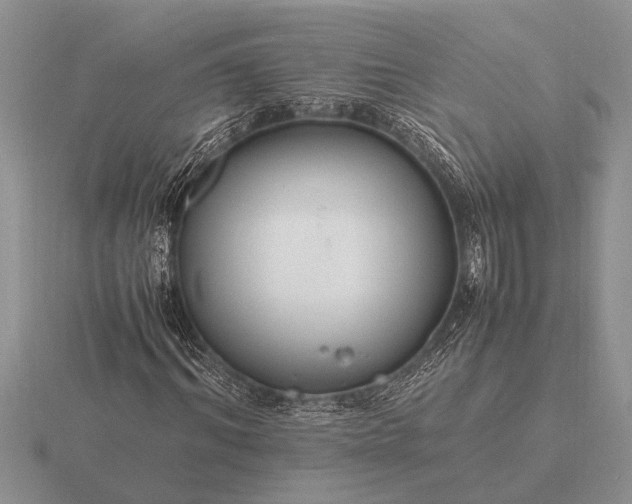 X0000116260964200912141304