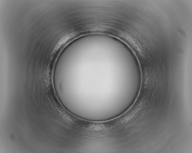 X0000116260978200912141304