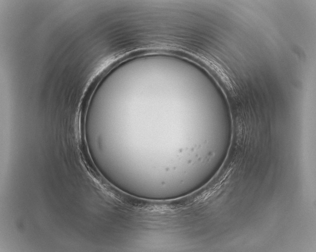 X0000116260982200912141304