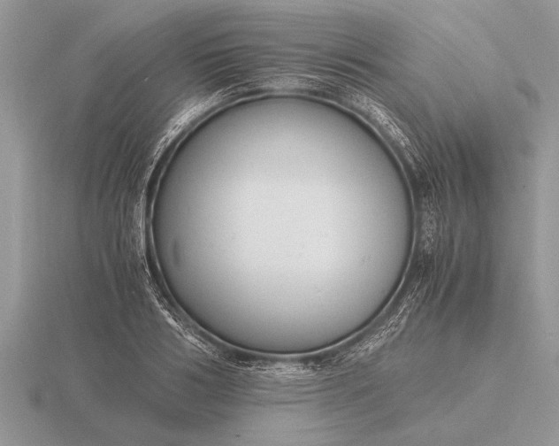 X0000116260986200912141304