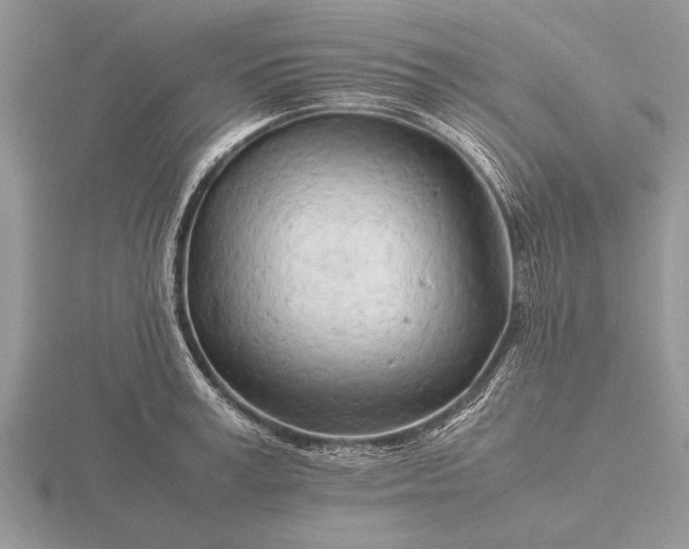 X0000116260995200912141304