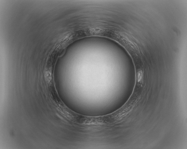 X0000116261011200912141303
