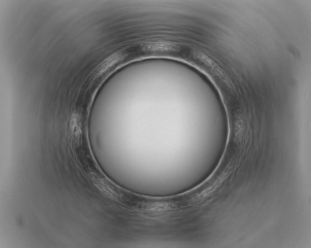 X0000116261017200912141303