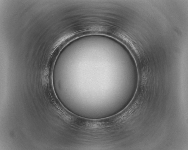 X0000116261019200912141303