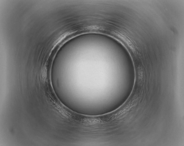 X0000116261023200912141303
