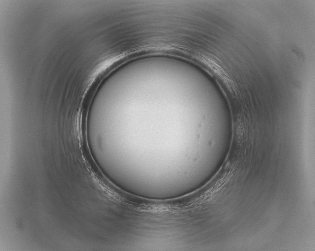 X0000116261030200912141303