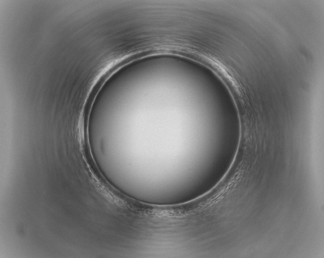 X0000116261032200912141303