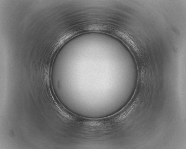 X0000116261033200912141303