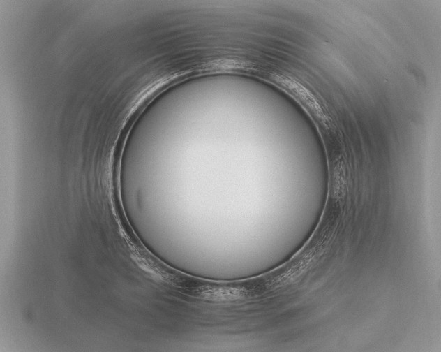 X0000116261039200912141303