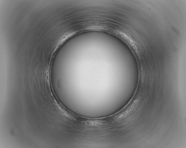 X0000116261041200912141303