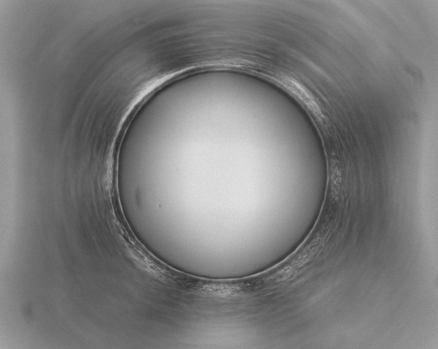 X0000116261044200912141303